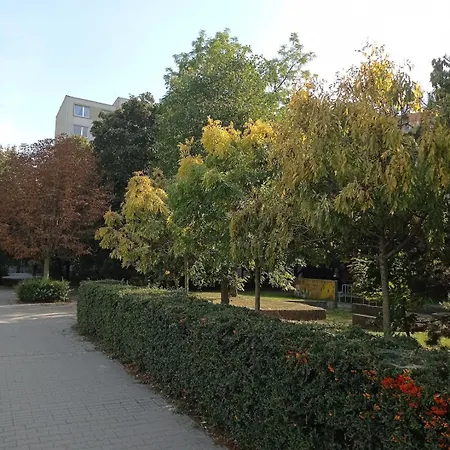 Apartman V Strede Trnavy